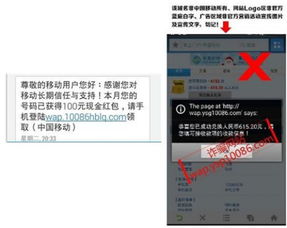 《Q2移動安全報告深度解讀 支付安全問題高居榜首，網(wǎng)絡(luò)安全軟件開發(fā)迎來新挑戰(zhàn)與機(jī)遇》