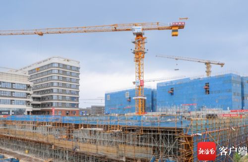 國家緊急醫學救援基地海南建設項目取得新進展 全面啟動建設工程施工階段